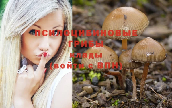 мет Абинск