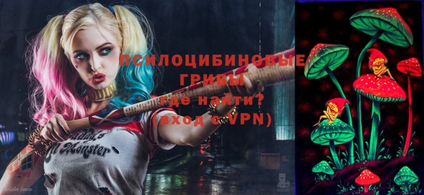 прущие грибы Алексин