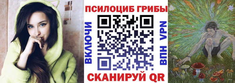 Псилоцибиновые грибы мухоморы  МЕГА tor  Сухиничи  купить наркотик 